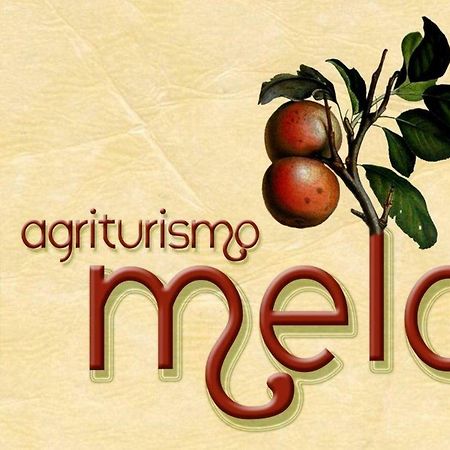 Agriturismo Il Melo Valfabbrica Exterior foto