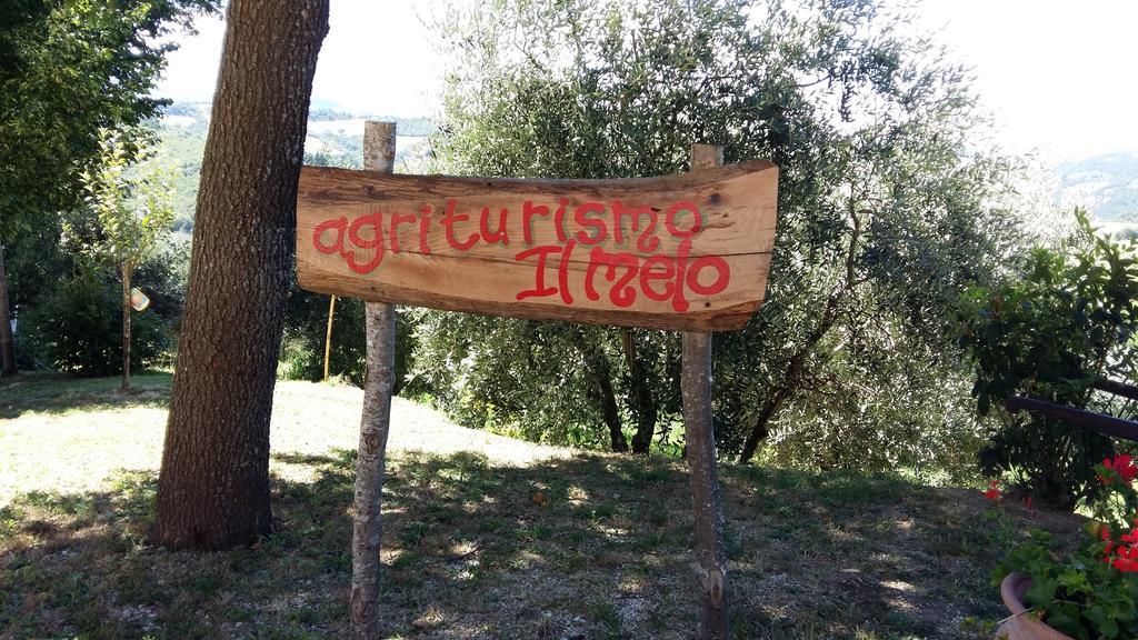 Agriturismo Il Melo Valfabbrica Exterior foto